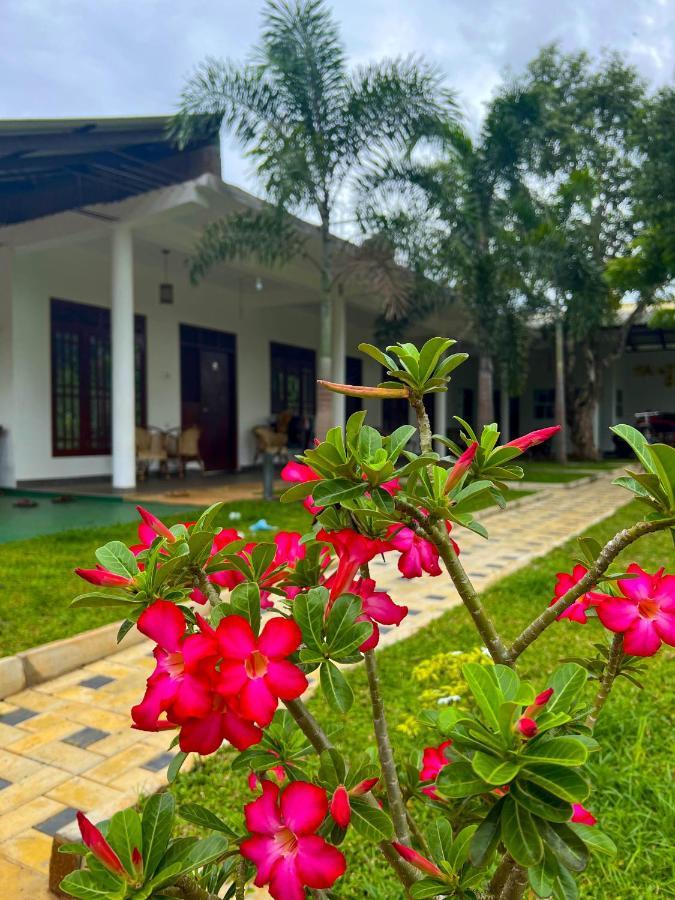 Sigiriya Green Garden Homestay Екстериор снимка